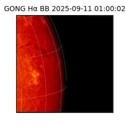 gong - 2025-09-11T01:00:02