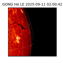 gong - 2025-09-11T02:00:42