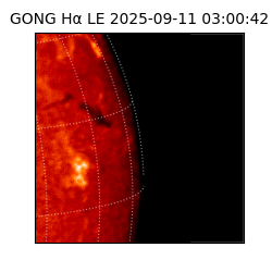 gong - 2025-09-11T03:00:42