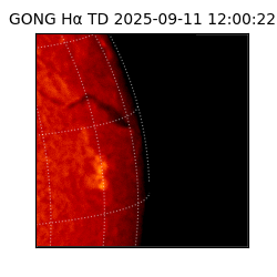 gong - 2025-09-11T12:00:22