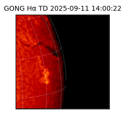 gong - 2025-09-11T14:00:22