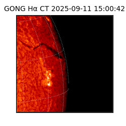 gong - 2025-09-11T15:00:42