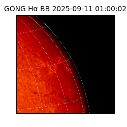 gong - 2025-09-11T01:00:02
