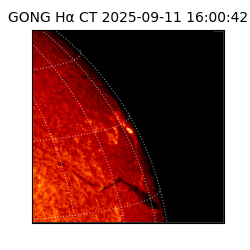 gong - 2025-09-11T16:00:42