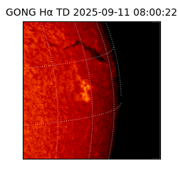 gong - 2025-09-11T08:00:22