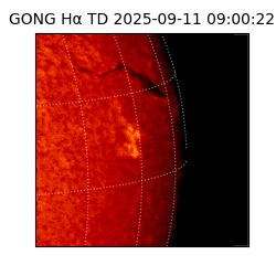 gong - 2025-09-11T09:00:22