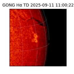 gong - 2025-09-11T11:00:22
