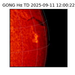 gong - 2025-09-11T12:00:22
