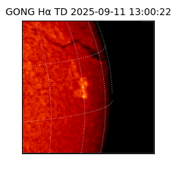 gong - 2025-09-11T13:00:22