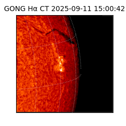 gong - 2025-09-11T15:00:42