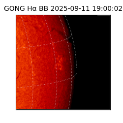 gong - 2025-09-11T19:00:02