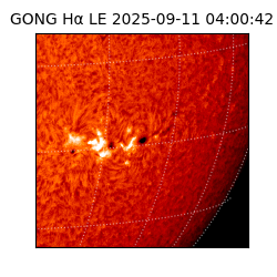 gong - 2025-09-11T04:00:42