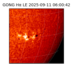 gong - 2025-09-11T06:00:42