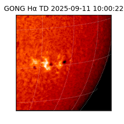 gong - 2025-09-11T10:00:22