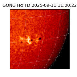 gong - 2025-09-11T11:00:22