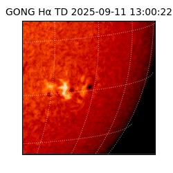 gong - 2025-09-11T13:00:22