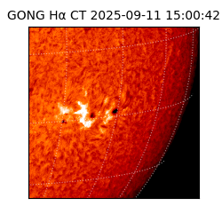 gong - 2025-09-11T15:00:42