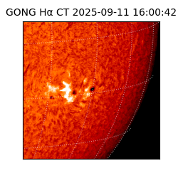 gong - 2025-09-11T16:00:42