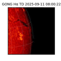 gong - 2025-09-11T08:00:22