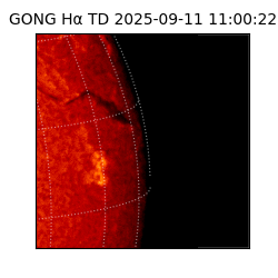 gong - 2025-09-11T11:00:22