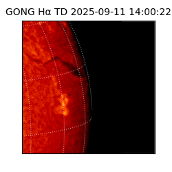 gong - 2025-09-11T14:00:22