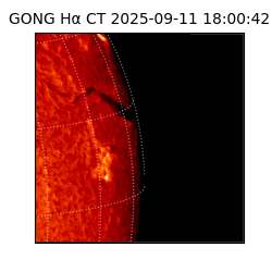 gong - 2025-09-11T18:00:42