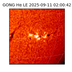 gong - 2025-09-11T02:00:42