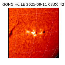 gong - 2025-09-11T03:00:42