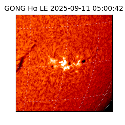 gong - 2025-09-11T05:00:42