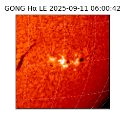 gong - 2025-09-11T06:00:42