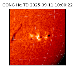 gong - 2025-09-11T10:00:22