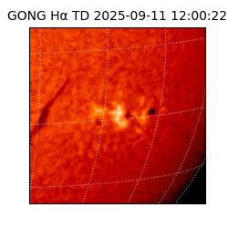 gong - 2025-09-11T12:00:22