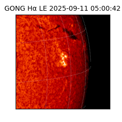 gong - 2025-09-11T05:00:42