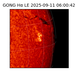 gong - 2025-09-11T06:00:42