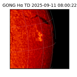 gong - 2025-09-11T08:00:22