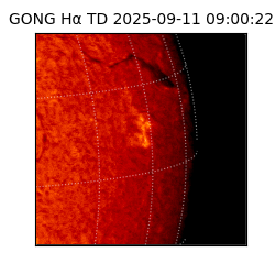 gong - 2025-09-11T09:00:22