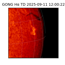 gong - 2025-09-11T12:00:22