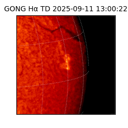 gong - 2025-09-11T13:00:22