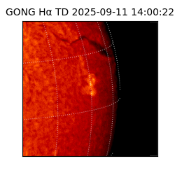 gong - 2025-09-11T14:00:22
