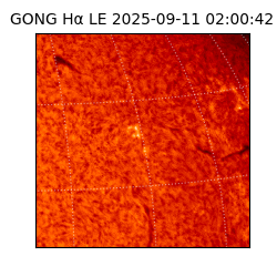 gong - 2025-09-11T02:00:42