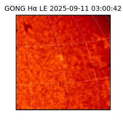 gong - 2025-09-11T03:00:42