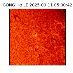 gong - 2025-09-11T05:00:42