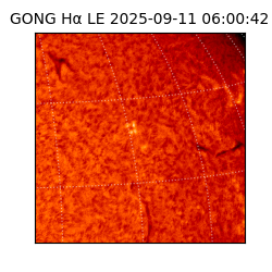 gong - 2025-09-11T06:00:42