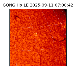 gong - 2025-09-11T07:00:42