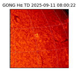 gong - 2025-09-11T08:00:22