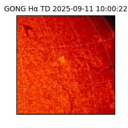 gong - 2025-09-11T10:00:22