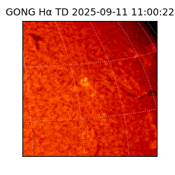 gong - 2025-09-11T11:00:22