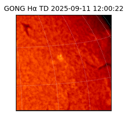 gong - 2025-09-11T12:00:22