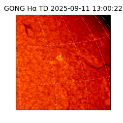 gong - 2025-09-11T13:00:22