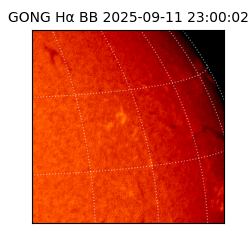 gong - 2025-09-11T23:00:02